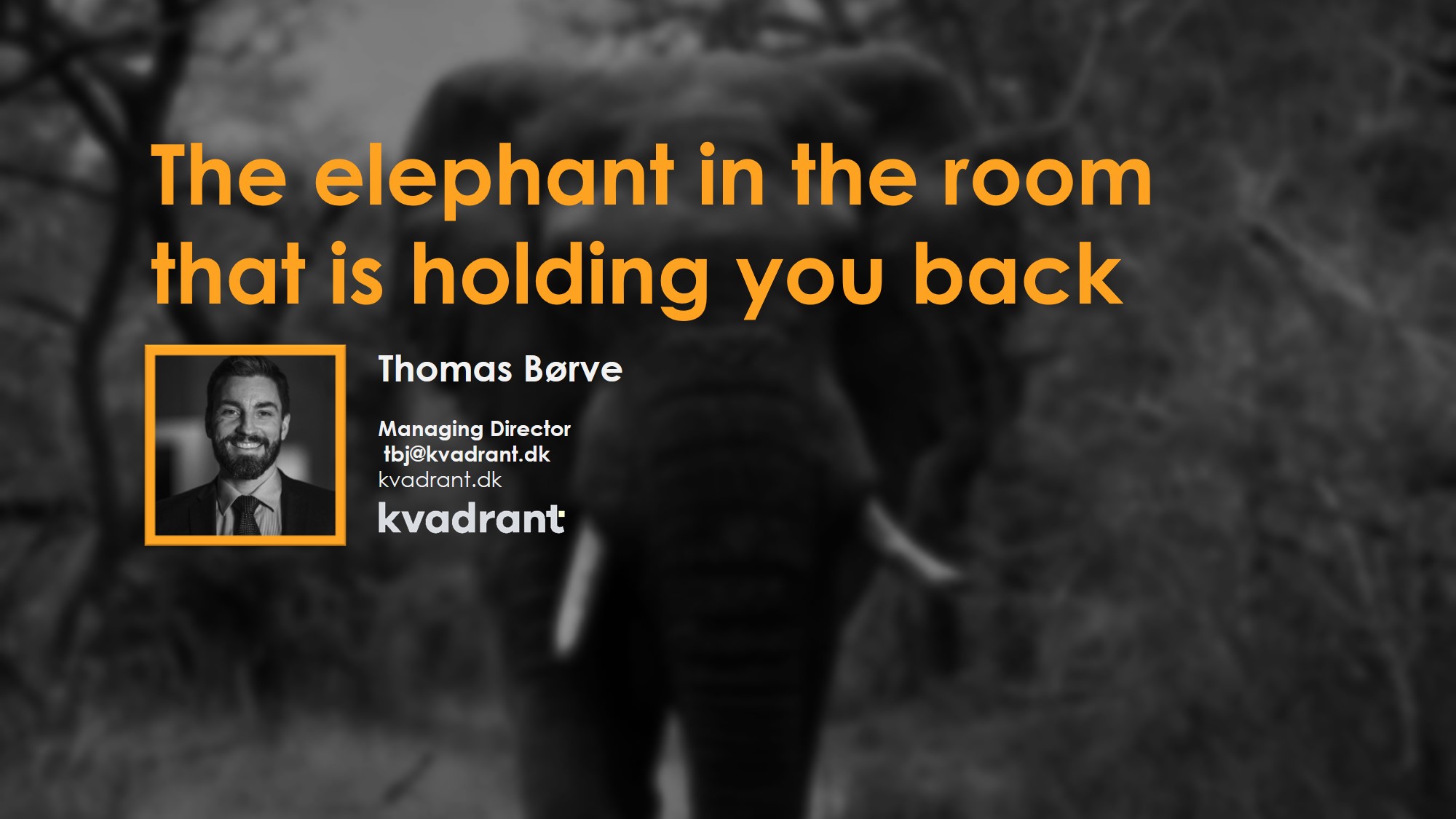 Blog#7 The elephant